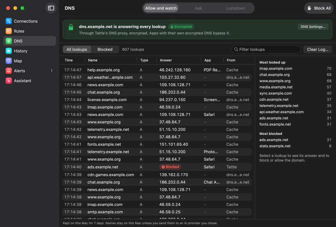Tattle’s DNS section: a card saying dns.example.net is answering every lookup through Tattle’s DNS proxy, encrypted; a log of lookups with time, name, type, answer, app and who answered, one blocked; and the most looked-up and most blocked names beside it.