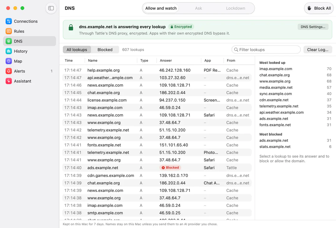 Tattle’s DNS section: a card saying dns.example.net is answering every lookup through Tattle’s DNS proxy, encrypted; a log of lookups with time, name, type, answer, app and who answered, one blocked; and the most looked-up and most blocked names beside it.